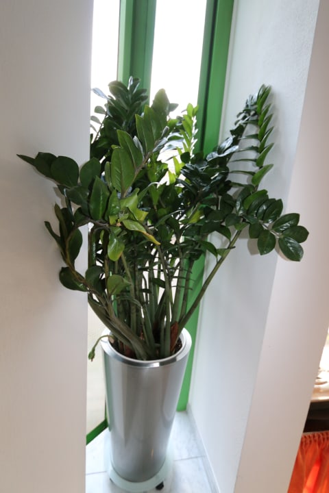 Sonstiges Hotel Atelier Garni