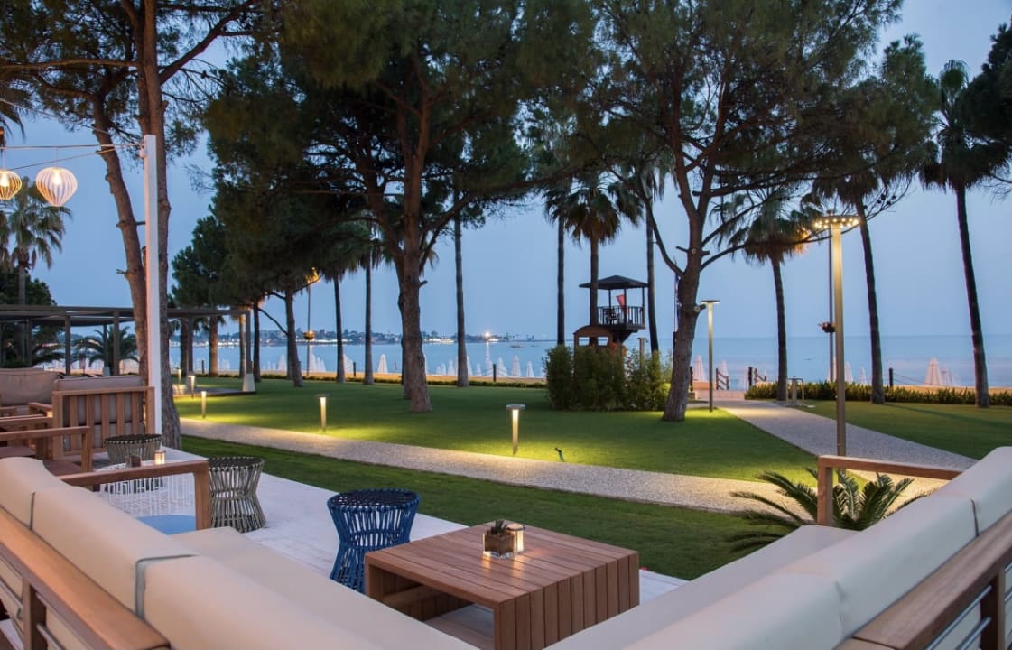 Gastro Acanthus Cennet Barut Collection