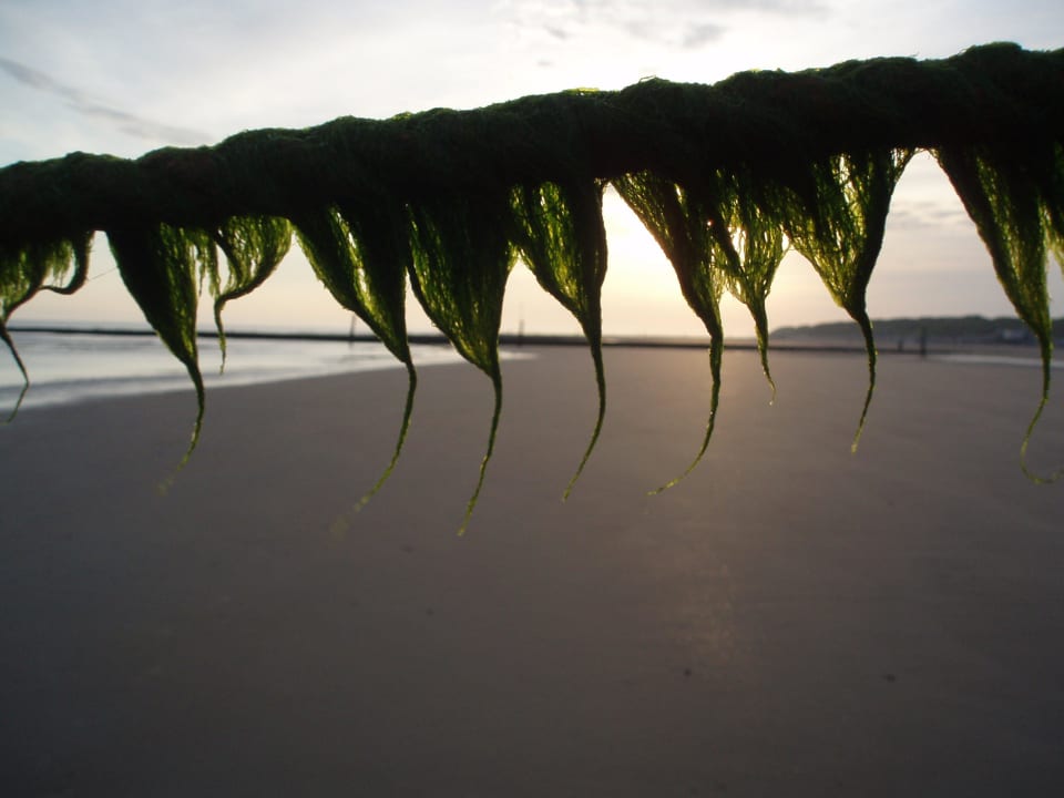 Bei Ebbe Strandhotel Georgshöhe