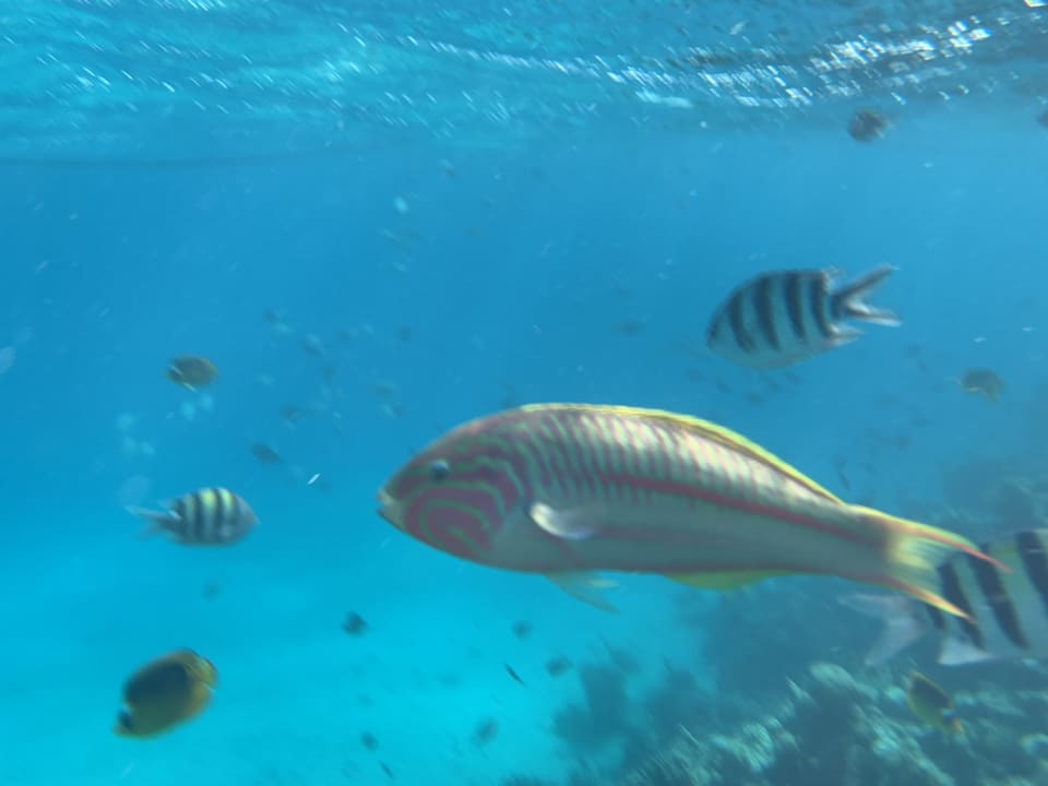 Strand Gravity Hotel & Aquapark Sahl Hasheesh