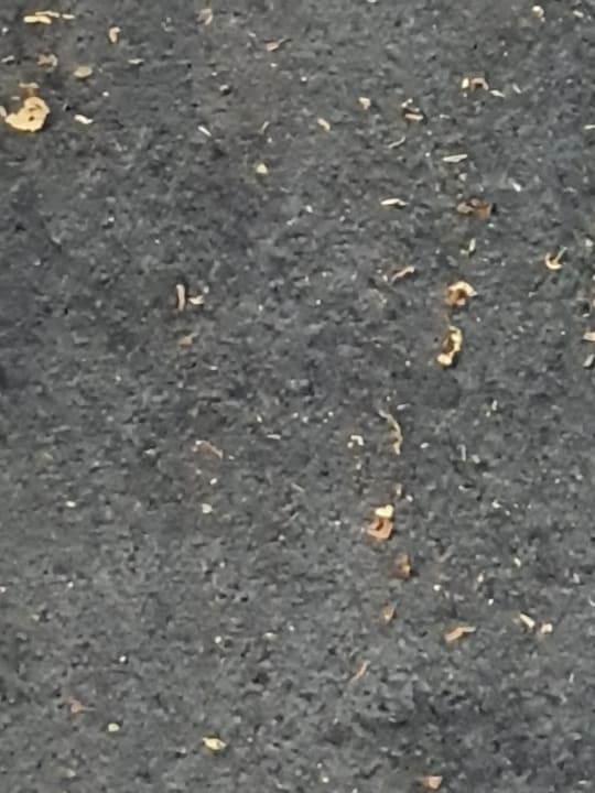 Zimmer Garner Hotel Berlin - Gendarmenmarkt