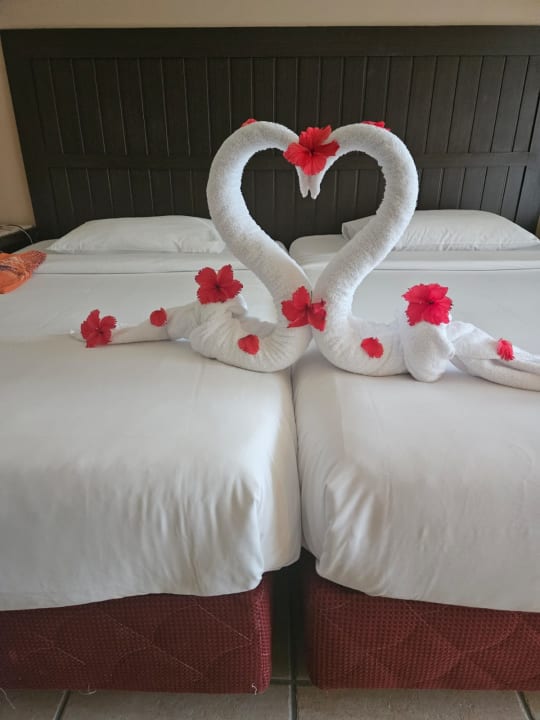 Zimmer TUI MAGIC LIFE Kalawy