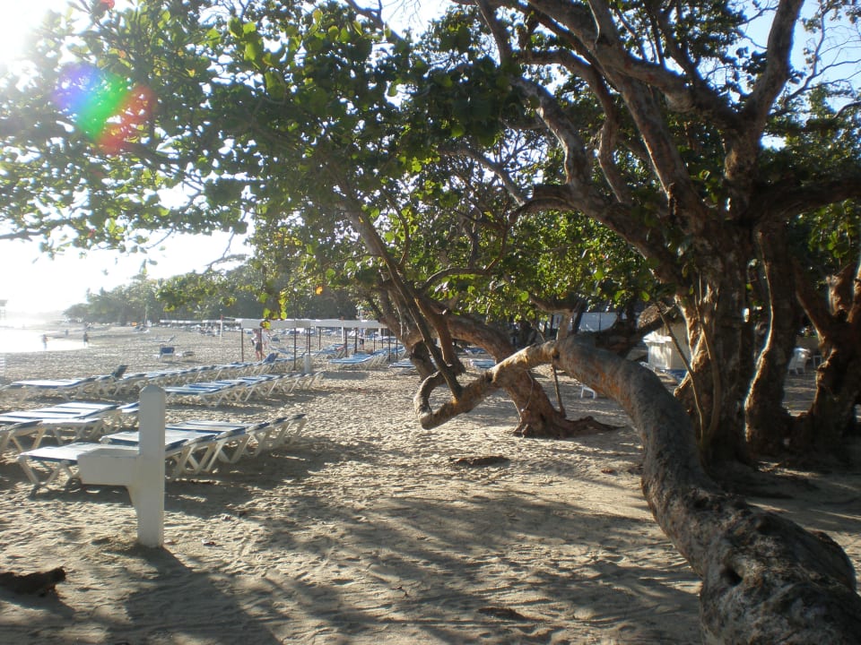Privatstrand vom Hotel Marien Puerto Plata