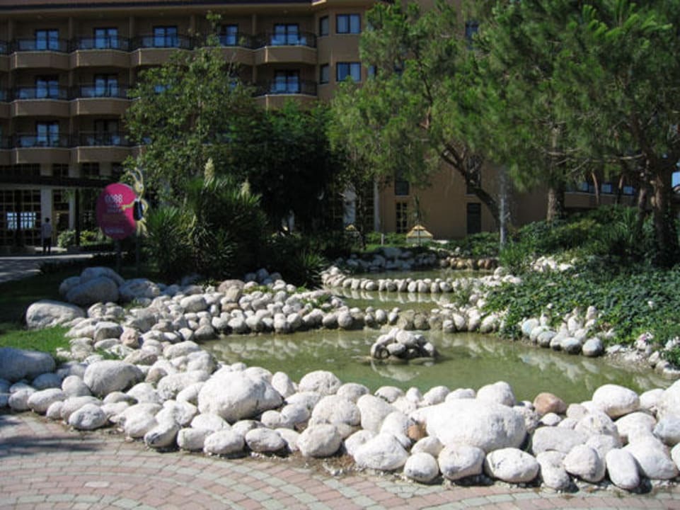 Magig Life Warerwrold Asteria Family Belek