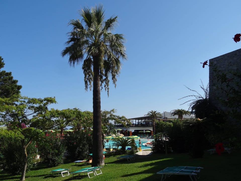 Blick vom Zimmer Richtung Pool Aldiana Club Rocca Nettuno Calabria