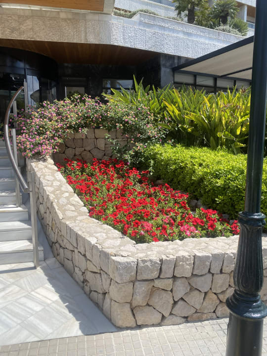 Gartenanlage Hotel Serrano Palace