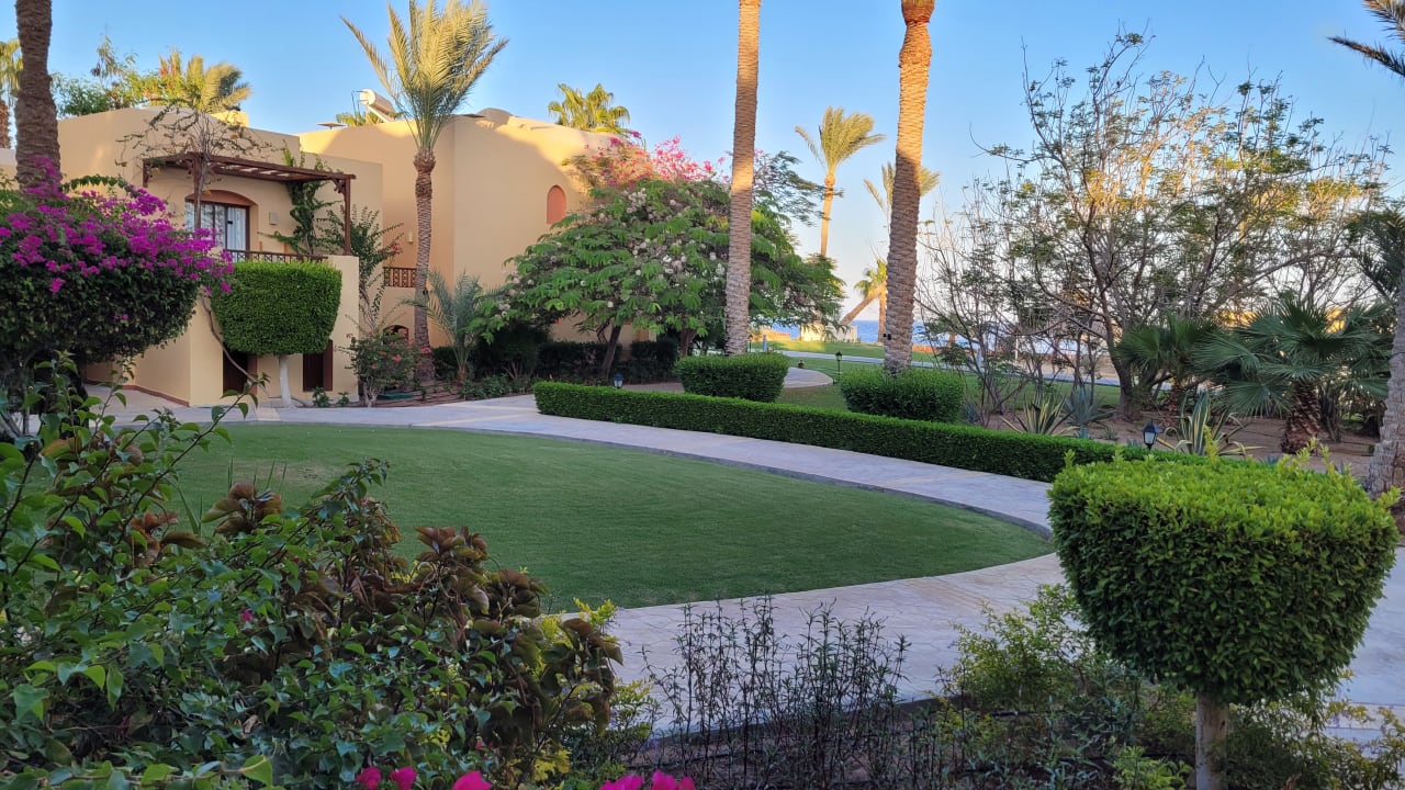 Gartenanlage Steigenberger Coraya Beach - Adults only