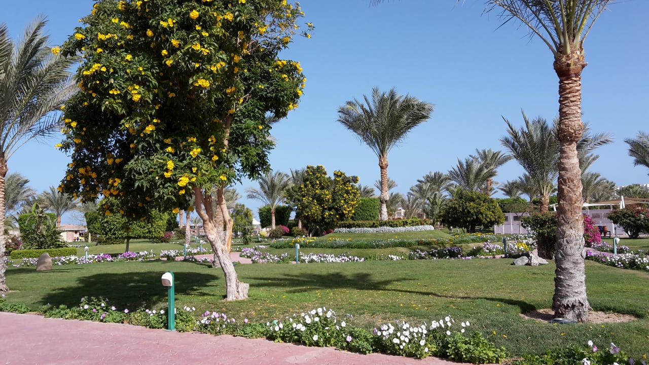 Außenansicht Desert Rose