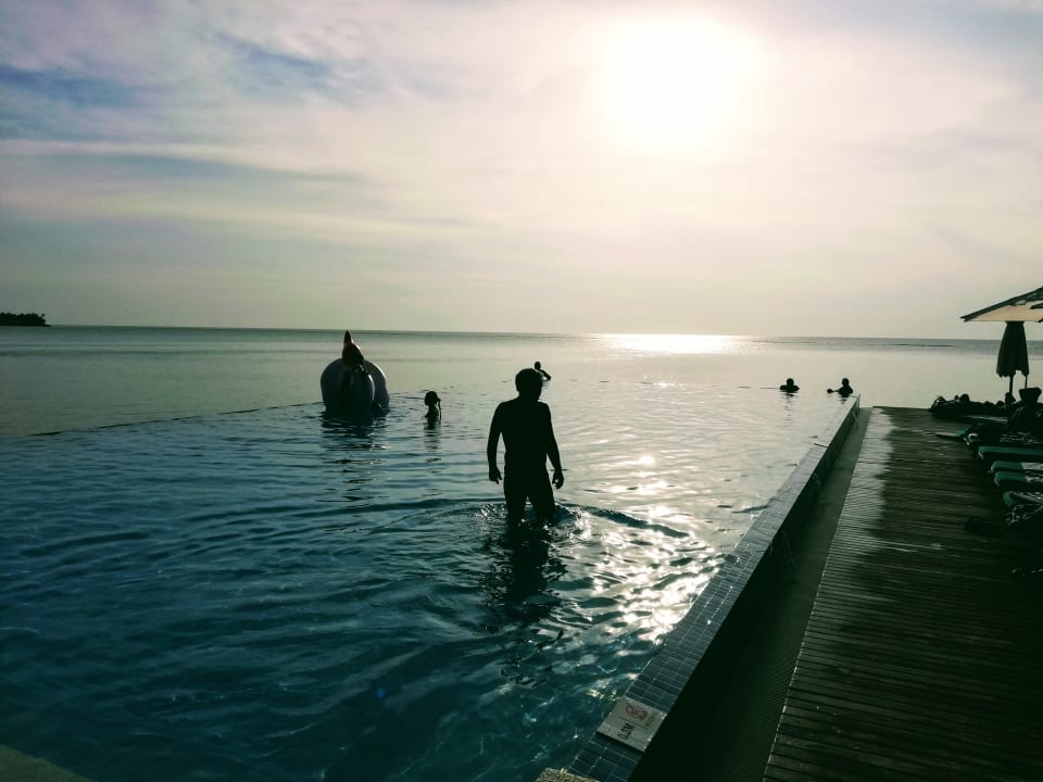 Pool Summer Island Maldives