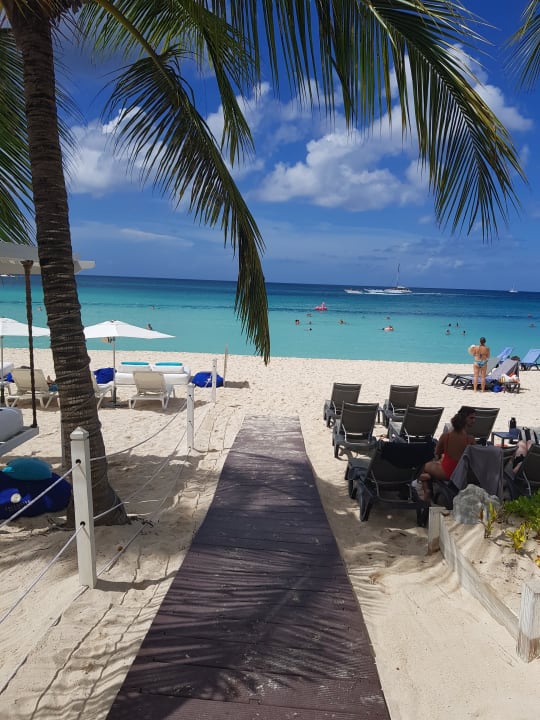 Strand Catalonia Royal La Romana - Adults only