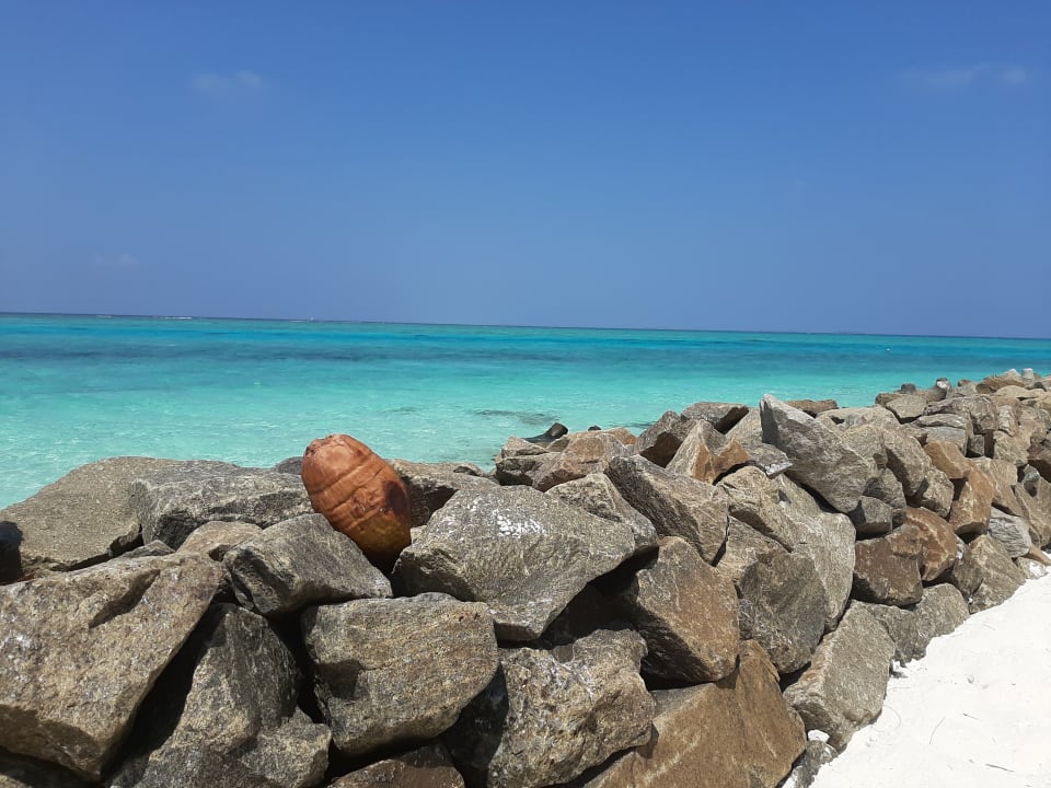 Strand Summer Island Maldives