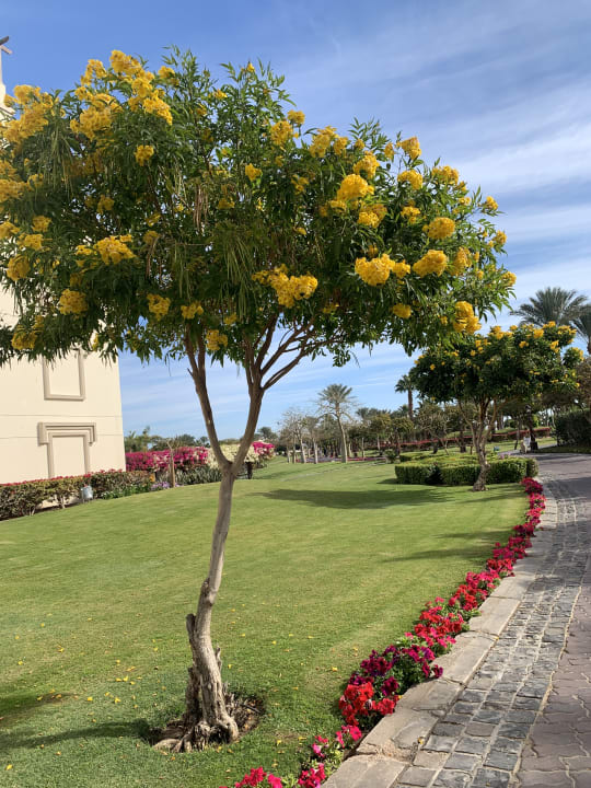 Gartenanlage Steigenberger Aqua Magic