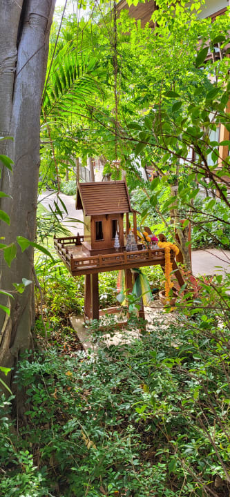 Gartenanlage Banana Fan Sea Resort