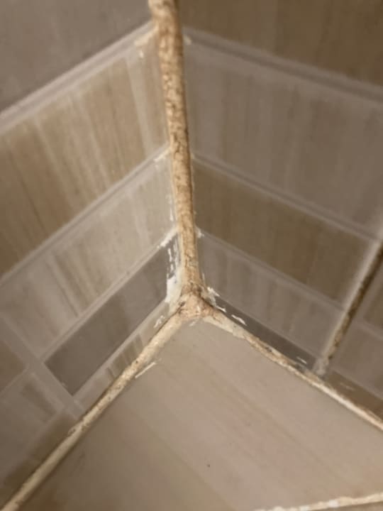 Zimmer Three Corners Sea Beach Resort