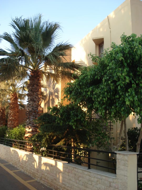 Schöner Garten Hotel Latania Apartments