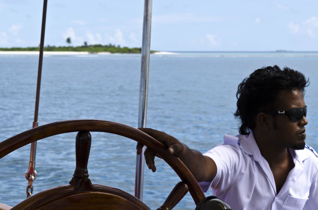 Whaleshark Seeker Cruise Mirihi Island Resort