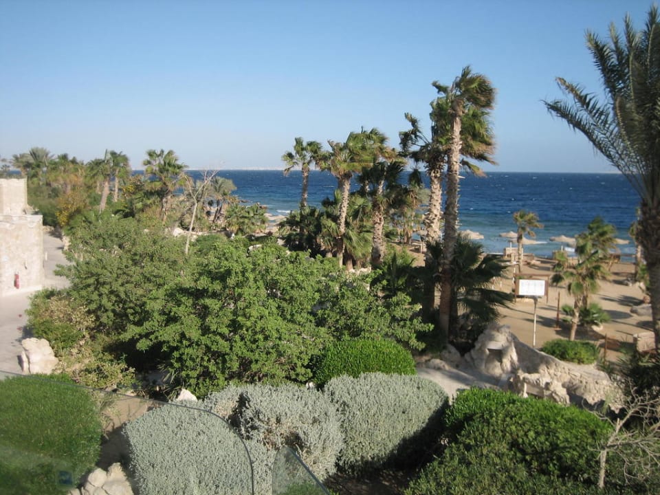 Garten Pickalbatros Citadel Resort