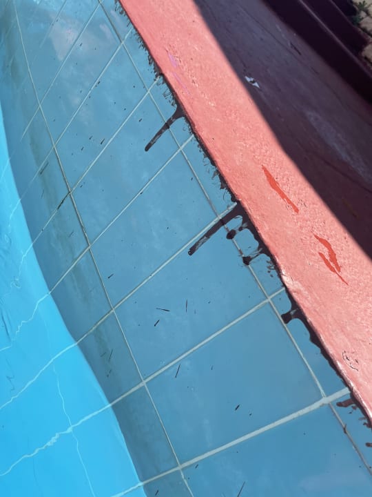 Pool Monachus Family Resort Sorgun