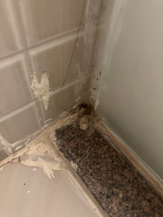 Zimmer Three Corners Sea Beach Resort