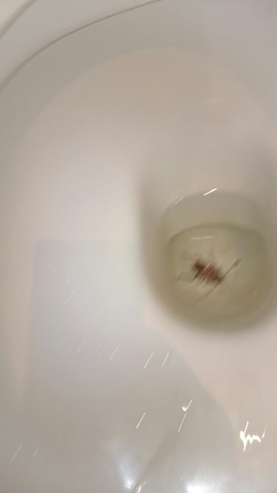 Zimmer SBH Costa Calma Beach Resort