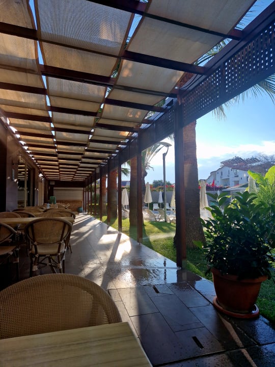 Gastro Side Löwe Hotel