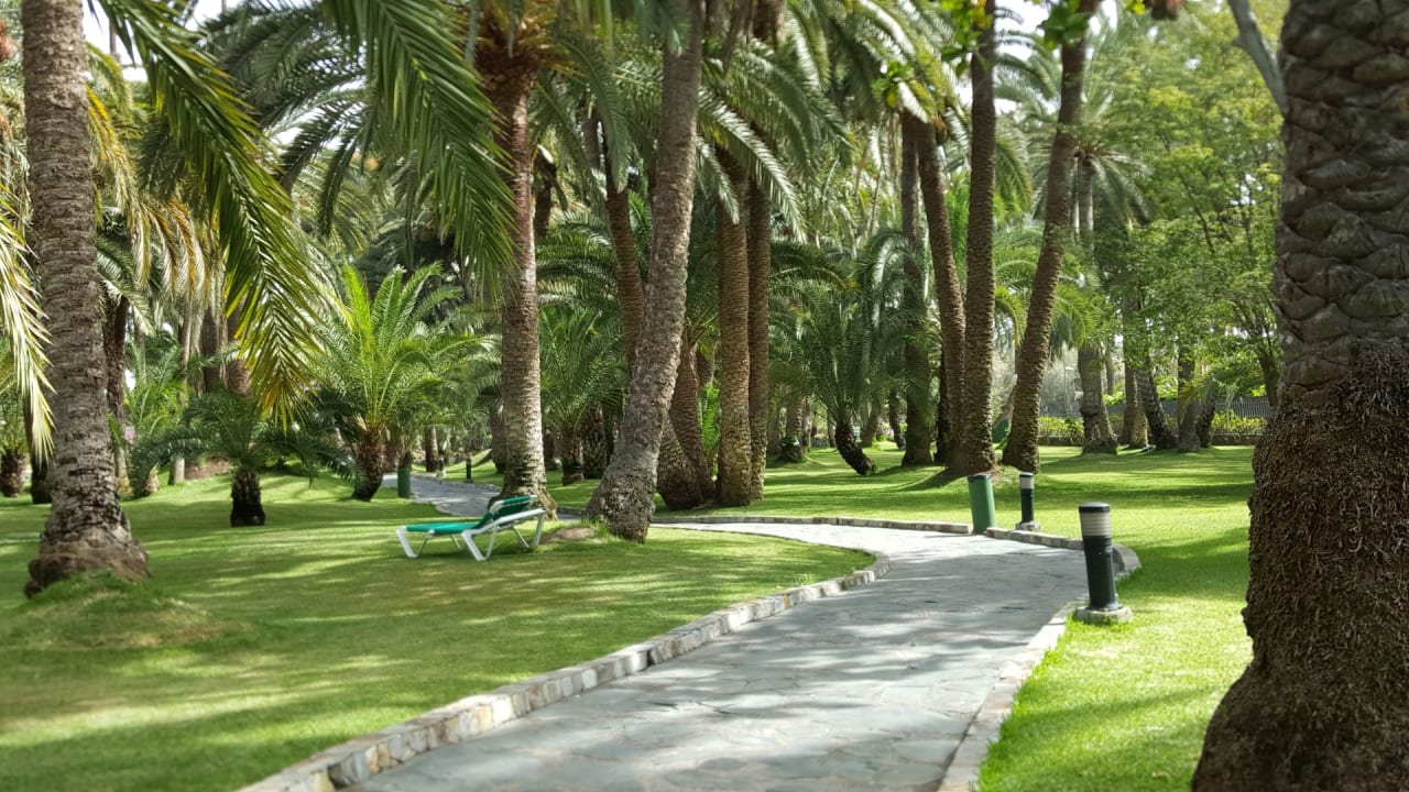 Gartenanlage Hotel Riu Palace Oasis