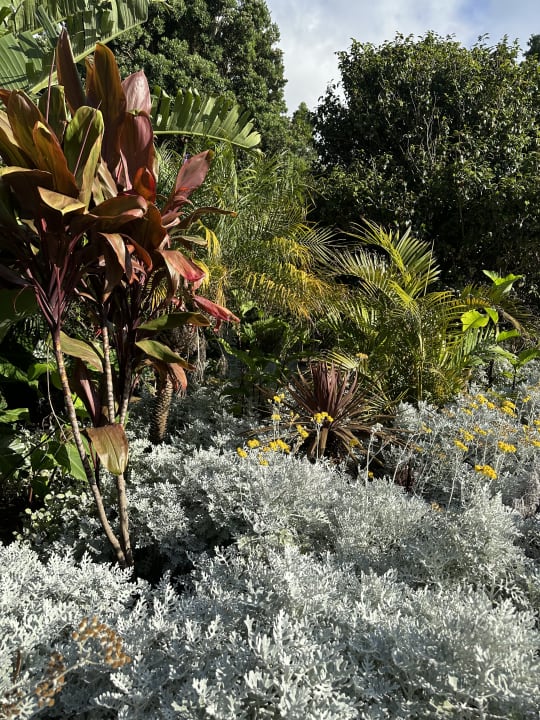 Gartenanlage Hotel Quinta do Furao