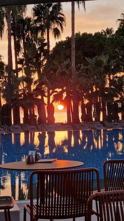 Pool Acanthus Cennet Barut Collection