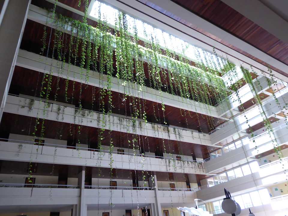 Sonstiges Blau varadero - Adults only