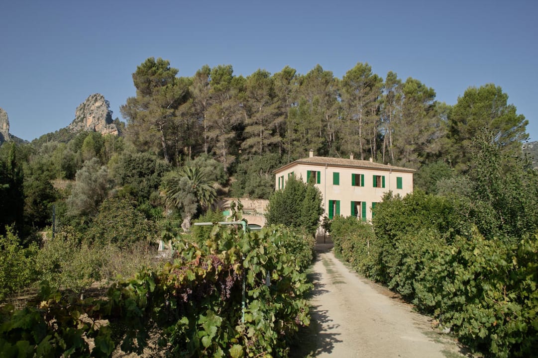 Die Einfahrt zur Finca Finca sa Maniga