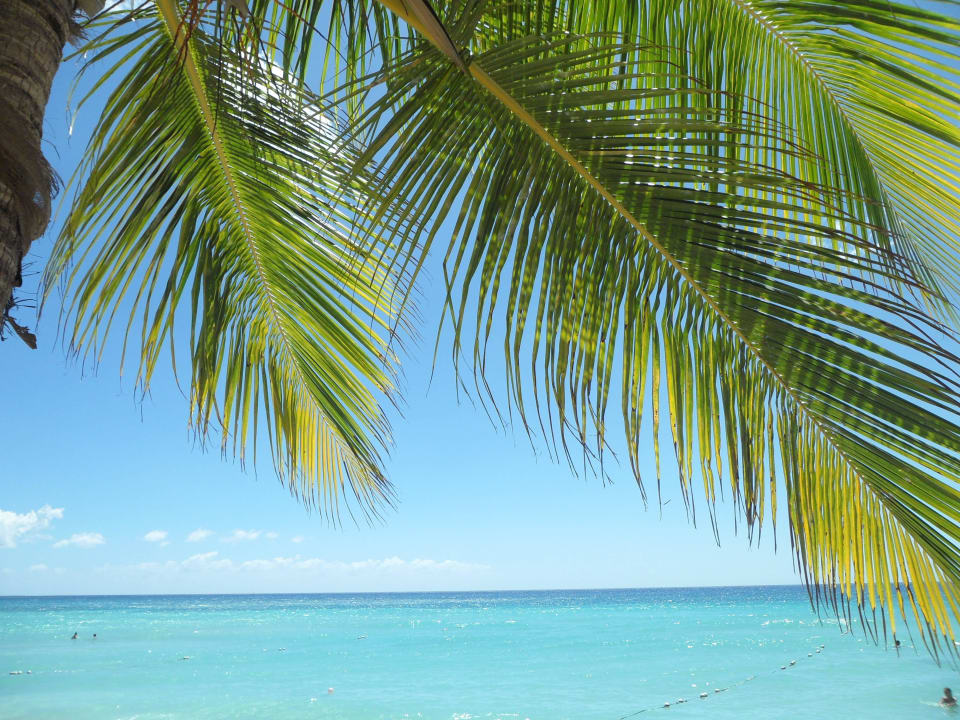Strand Hotel Viva Dominicus Palace by Wyndham-All Inclusive Resort