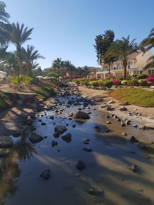 Gartenanlage Mövenpick Resort & Spa El Gouna