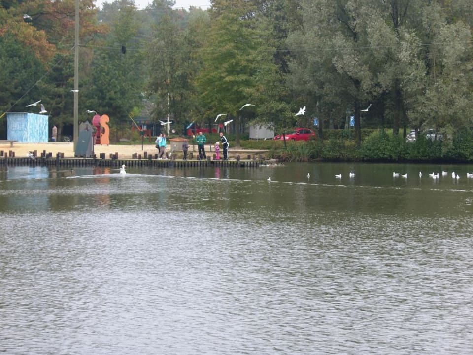 Am See  Center Parcs Het Heijderbos