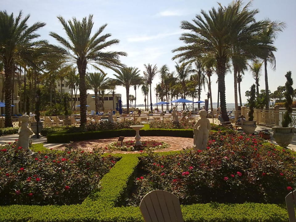 Blick am Hotelpool Hotel The Ritz-Carlton Sarasota