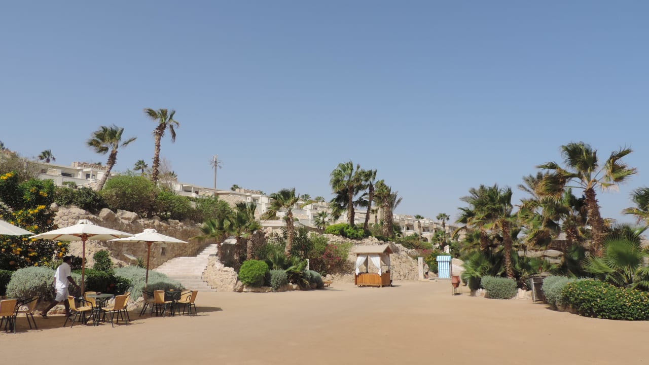 Poolbar am Strand Pickalbatros Citadel Resort