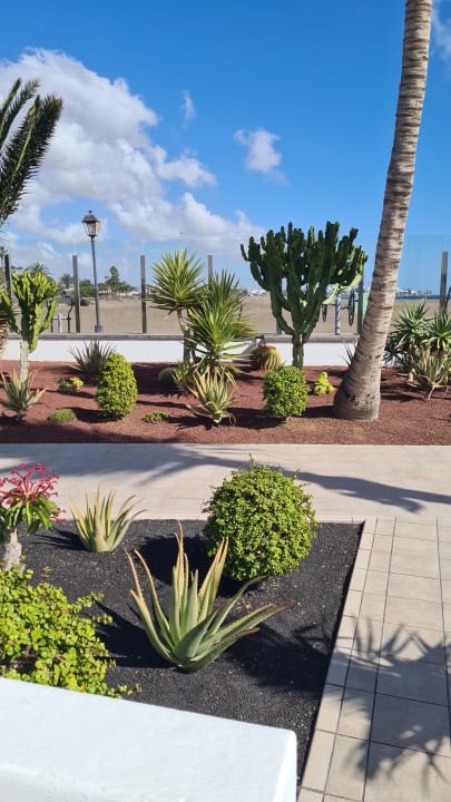 Gartenanlage Hotel Las Costas