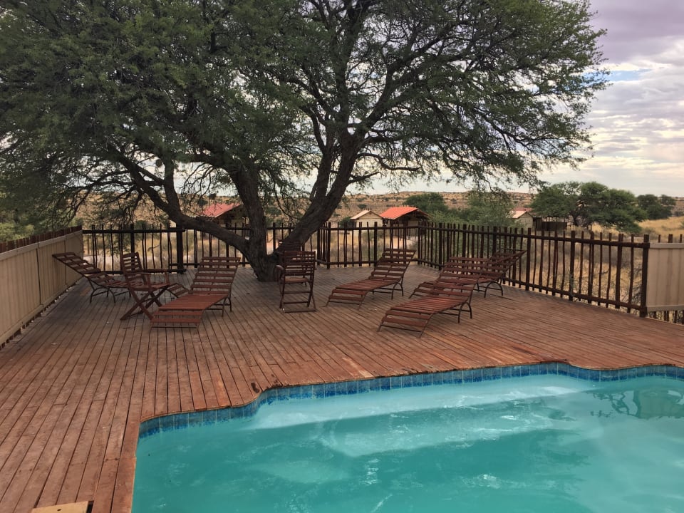 Pool Kalahari Tented Camp