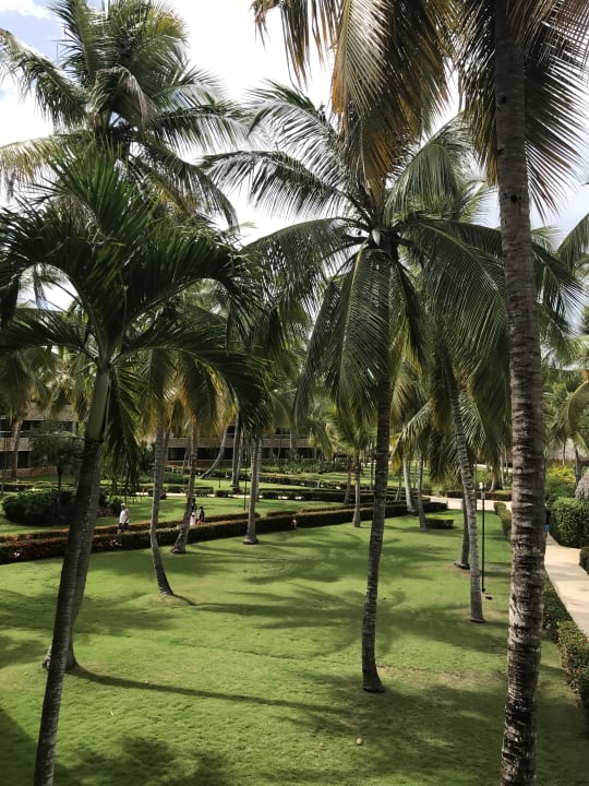 Gartenanlage Hotel Viva Dominicus Beach by Wyndham - All Inclusive Resort