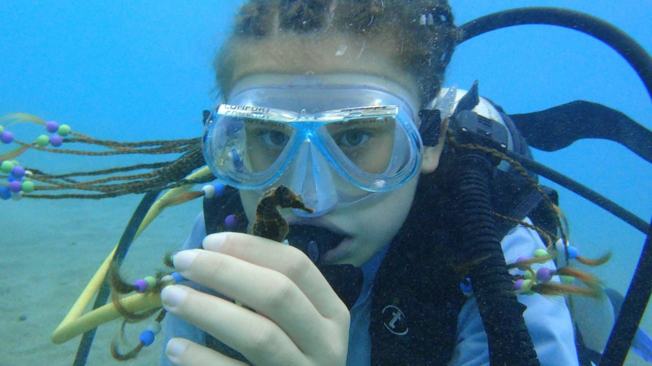 Tauchen im Meer Le Jardin Resort