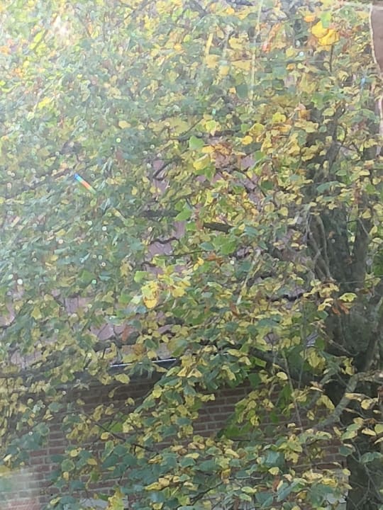 Zimmer Center Parcs Park Nordseeküste