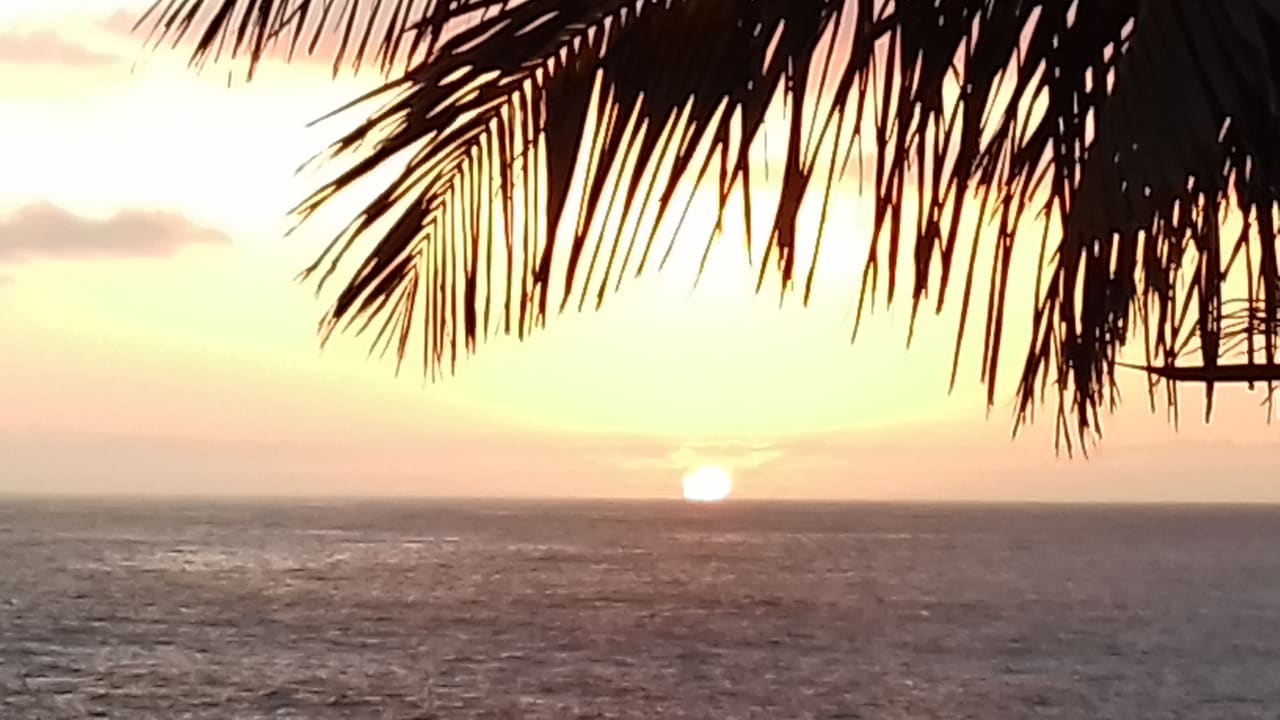 Ausblick Melia La Palma Hotel