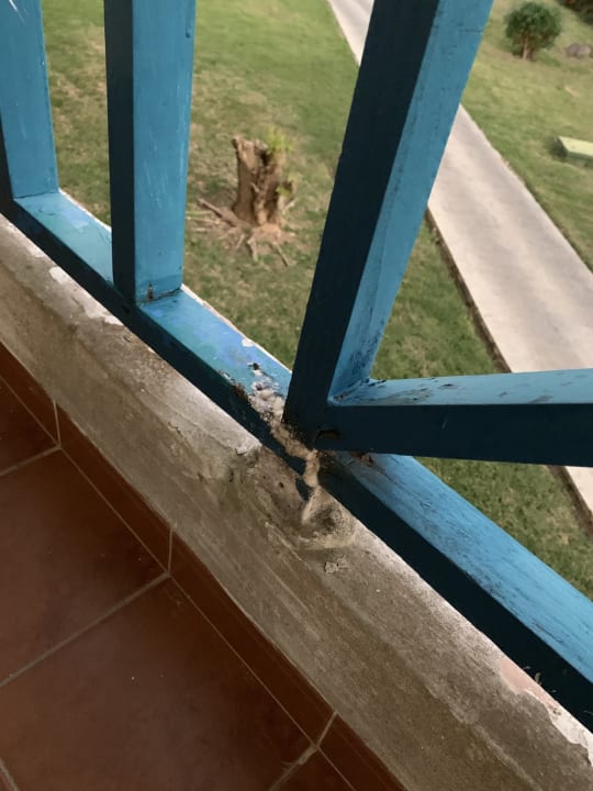 Zimmer Melia Las Antillas - Adults only