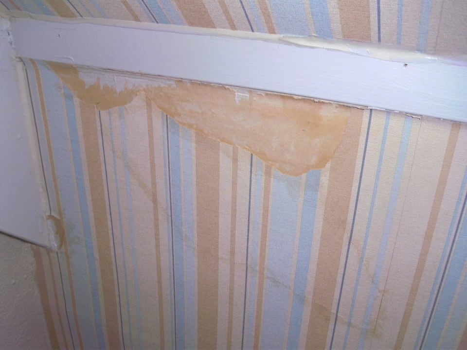 Schlafzimmer Tapete von der Wand Center Parcs Park Nordseeküste