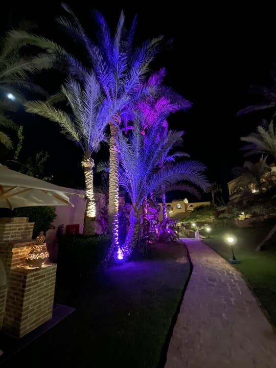 Gartenanlage Steigenberger Coraya Beach - Adults only