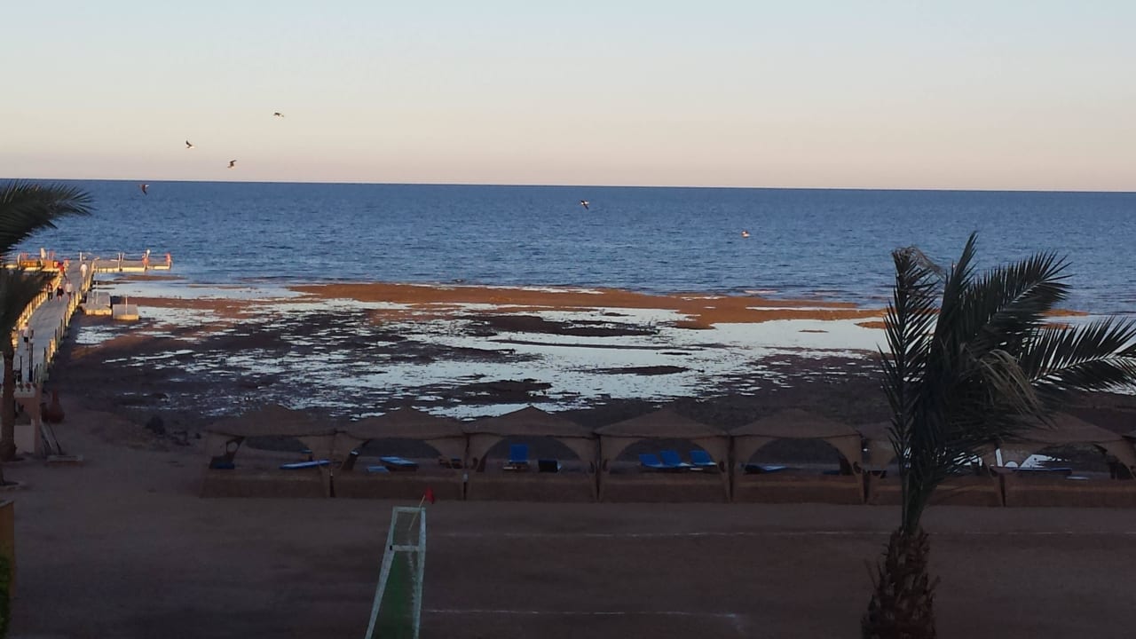 Ausblick bei Ebbe Pickalbatros Palace Resort