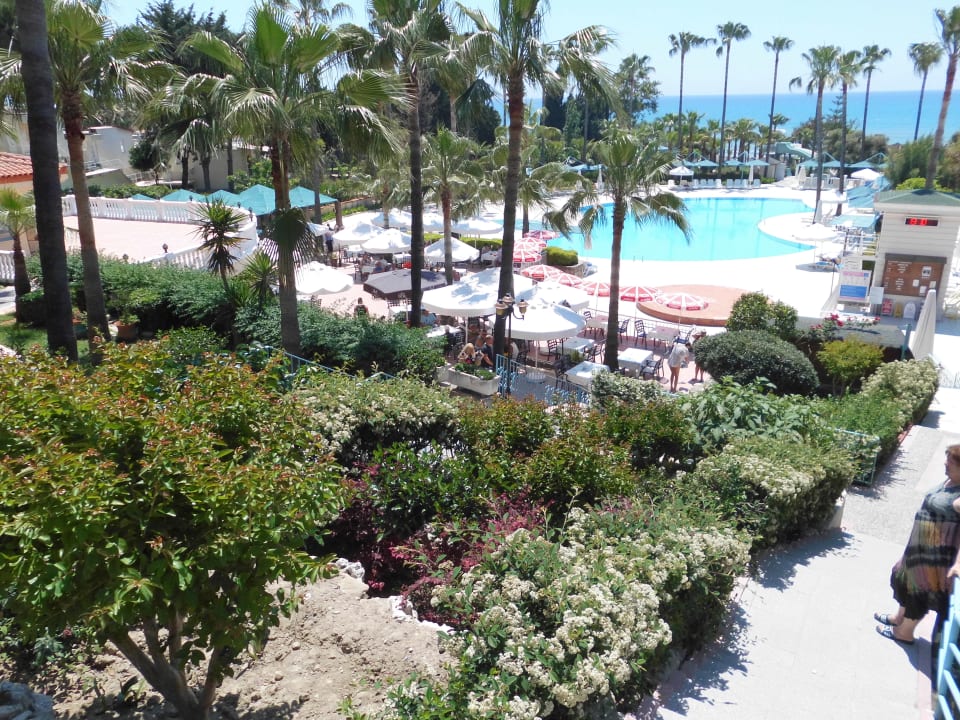 Pool Iz Flower Side Beach Hotel