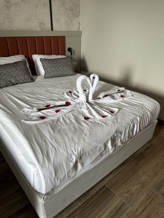 Zimmer Seaden Sea Planet Resort & Spa