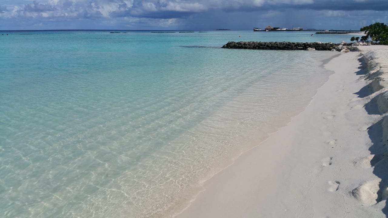 Strand Ostseite Summer Island Maldives