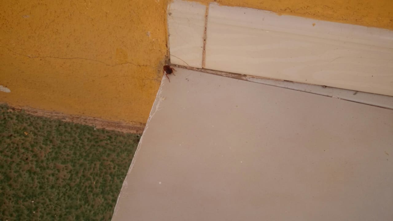 Außenansicht MP Club Caleta Dorada