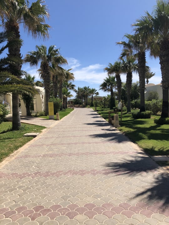 Gartenanlage TUI MAGIC LIFE Penelope Beach